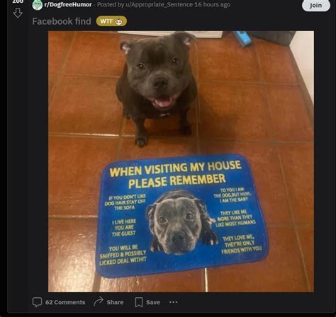 dogfree reddit|r/DogFree isn't actually that bad : r/unpopularopinion .